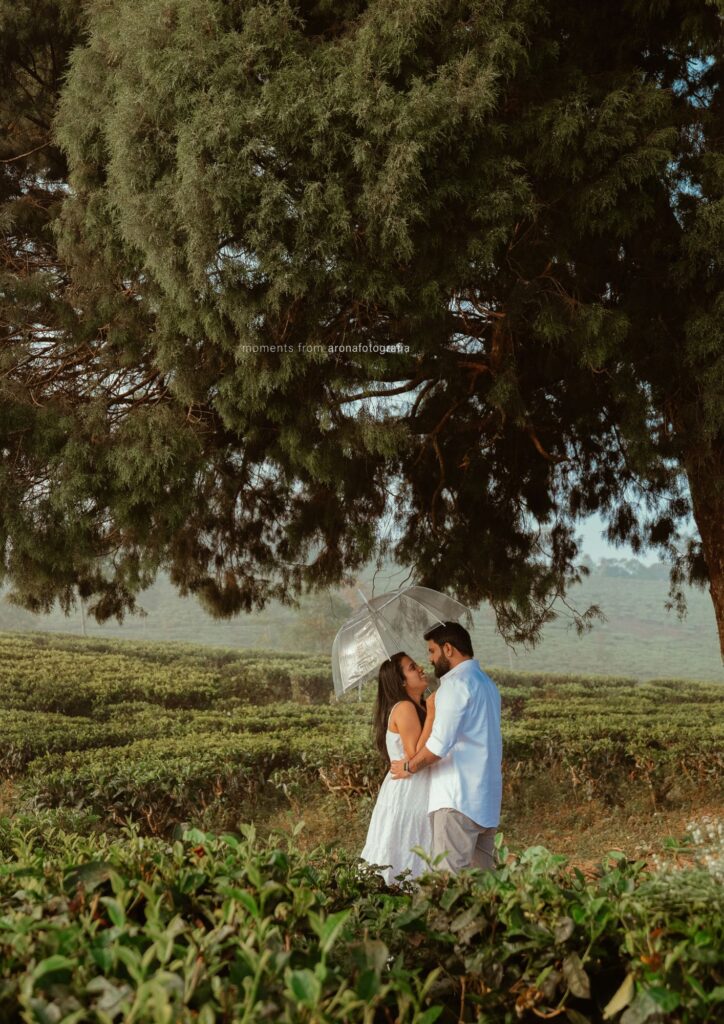 pre wedding shoot in munnar
