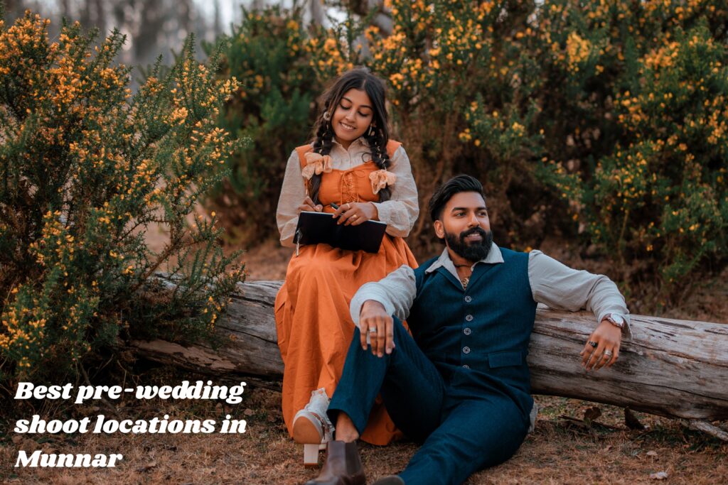 pre wedding shoot in munnar